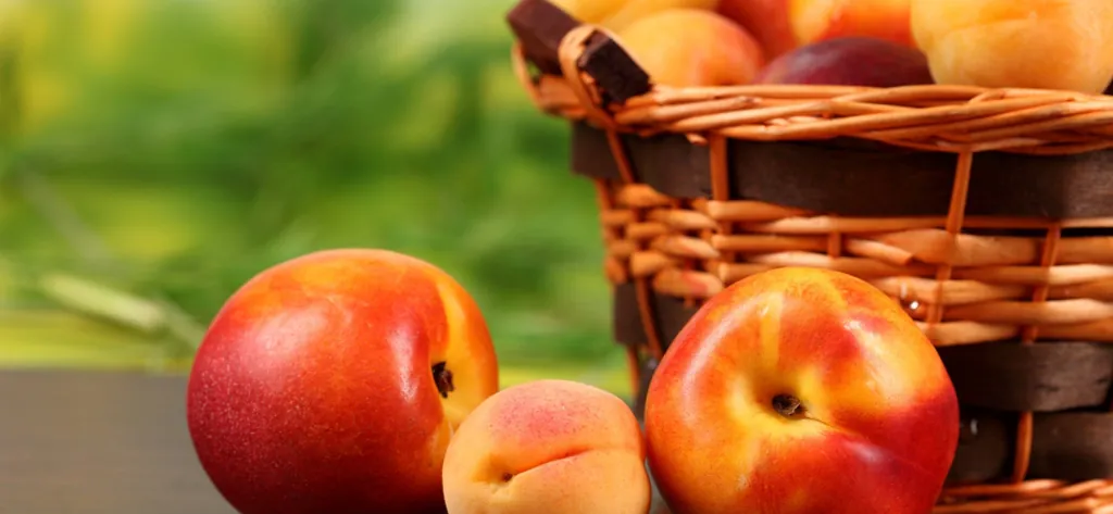 Склад готовой продукции